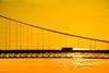 Forth Road Bridge