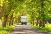 shutterstock_1056575543 (2)