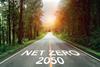 Net zero