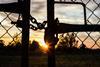 AdobeStock_1580517290