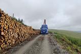 Scotland timber transport
