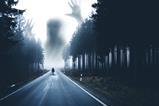 AdobeStock_347788072