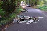brentwood-collision-scene-website