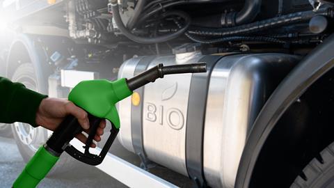 shutterstock_2292589801 (1)