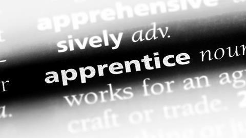 Apprenticeship levy