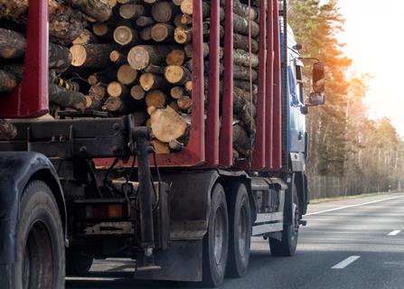 AdobeStock_870862387