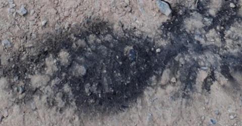 27ae3fd82fb44710b06458c983790300