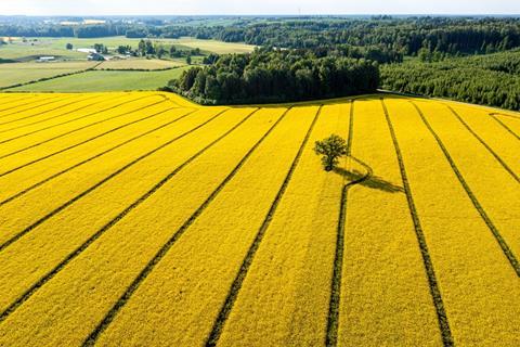 HVO is made from renewable oils such as rapeseed.