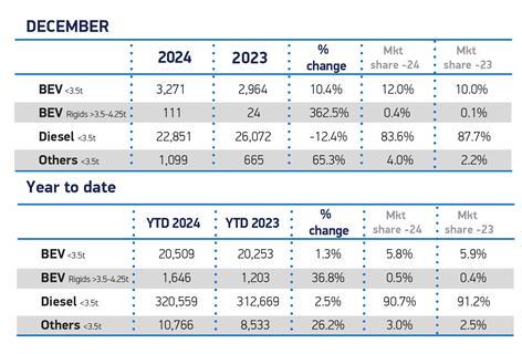 Dec-Fuel-2024-and-YTD-LCV-01
