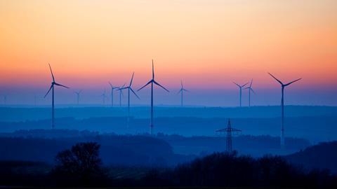 Woodland Group also introduced new services in 2025 to allow businesses to reduce their Scope 3 emissions.